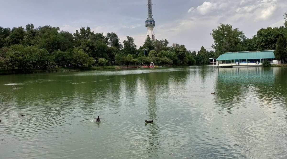 Японский сад, Ташкент